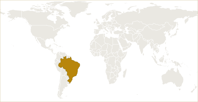 巴西在世界地图上的位置 · Brazil highlighted on the world map