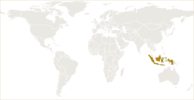 印度尼西亚在世界地图上的位置 · Indonesia highlighted on the world map