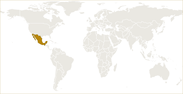 墨西哥在世界地图上的位置 · Mexico highlighted on the world map