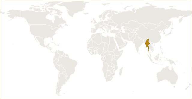 缅甸在世界地图上的位置 · Myanmar highlighted on the world map