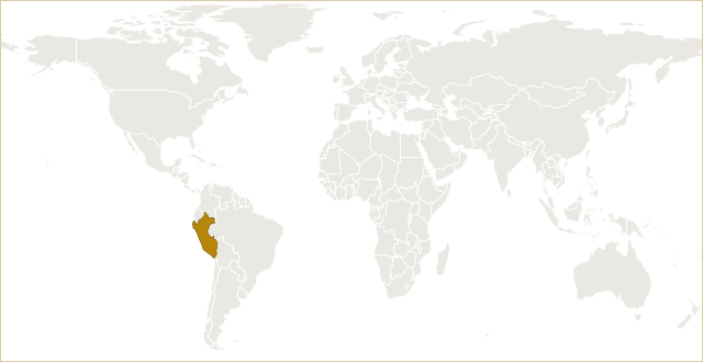 秘鲁在世界地图上的位置 · Peru highlighted on the world map