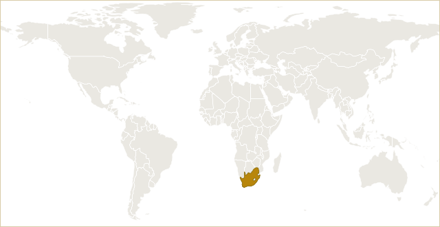 南非在世界地图上的位置 · South Africa highlighted on the world map