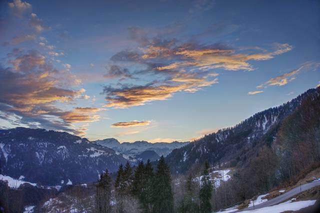 Davos Forum