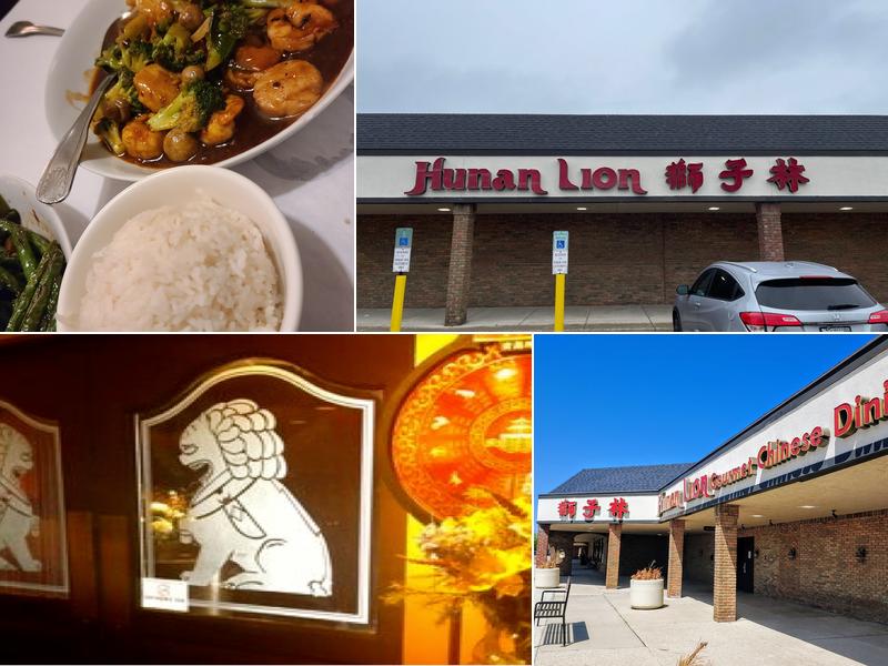 Hunan Lion